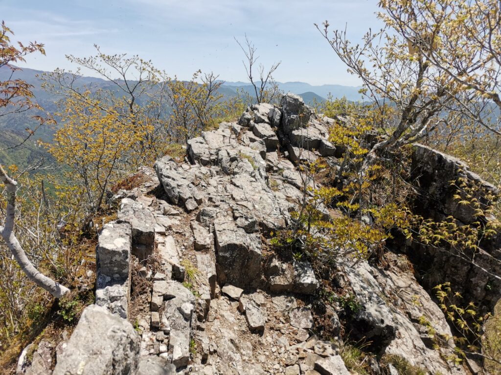 枡形山 山頂