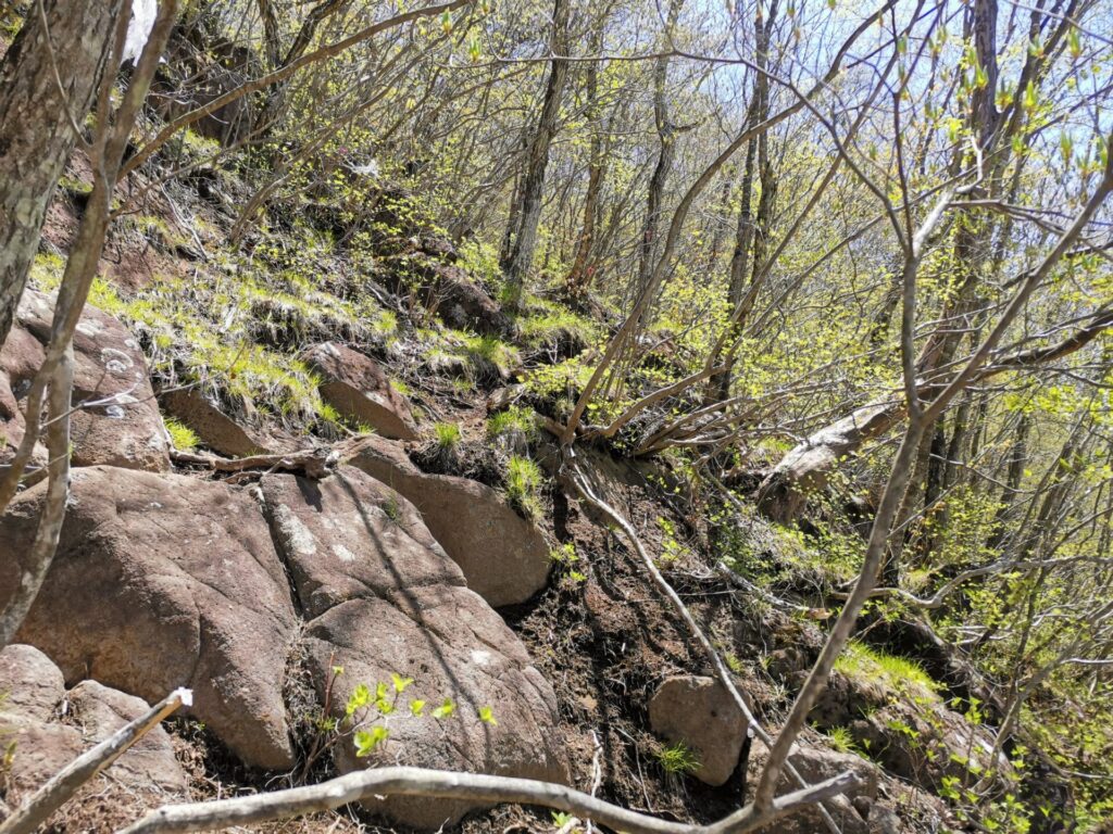 登山道