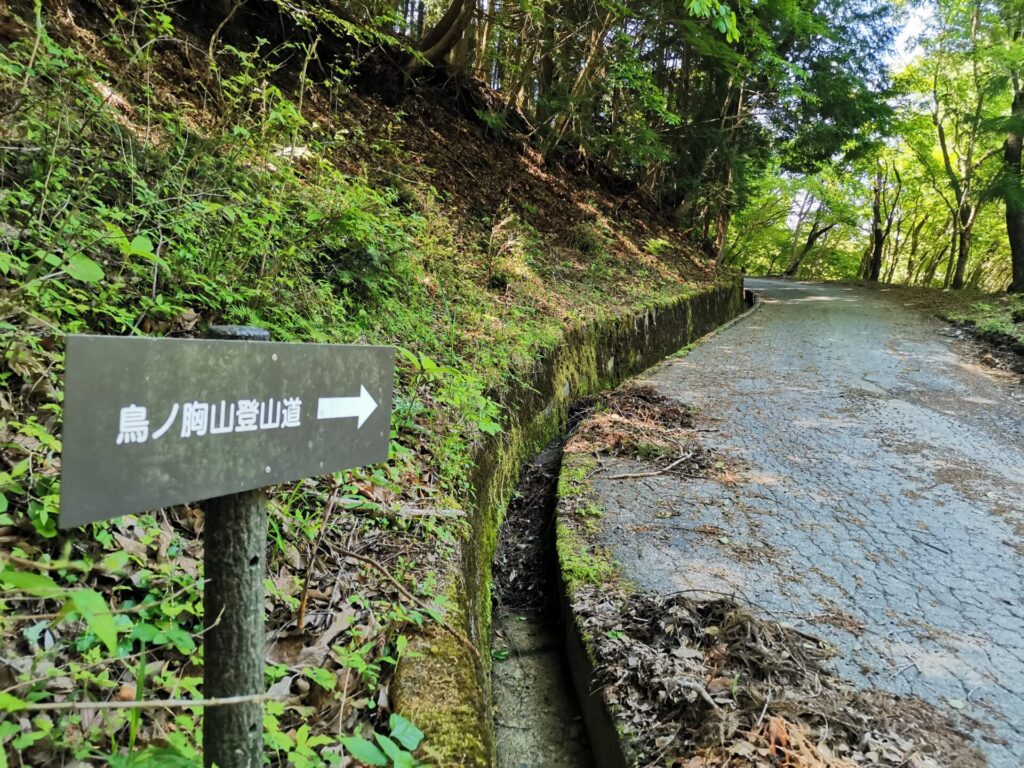 鳥丿胸山登山道 道標