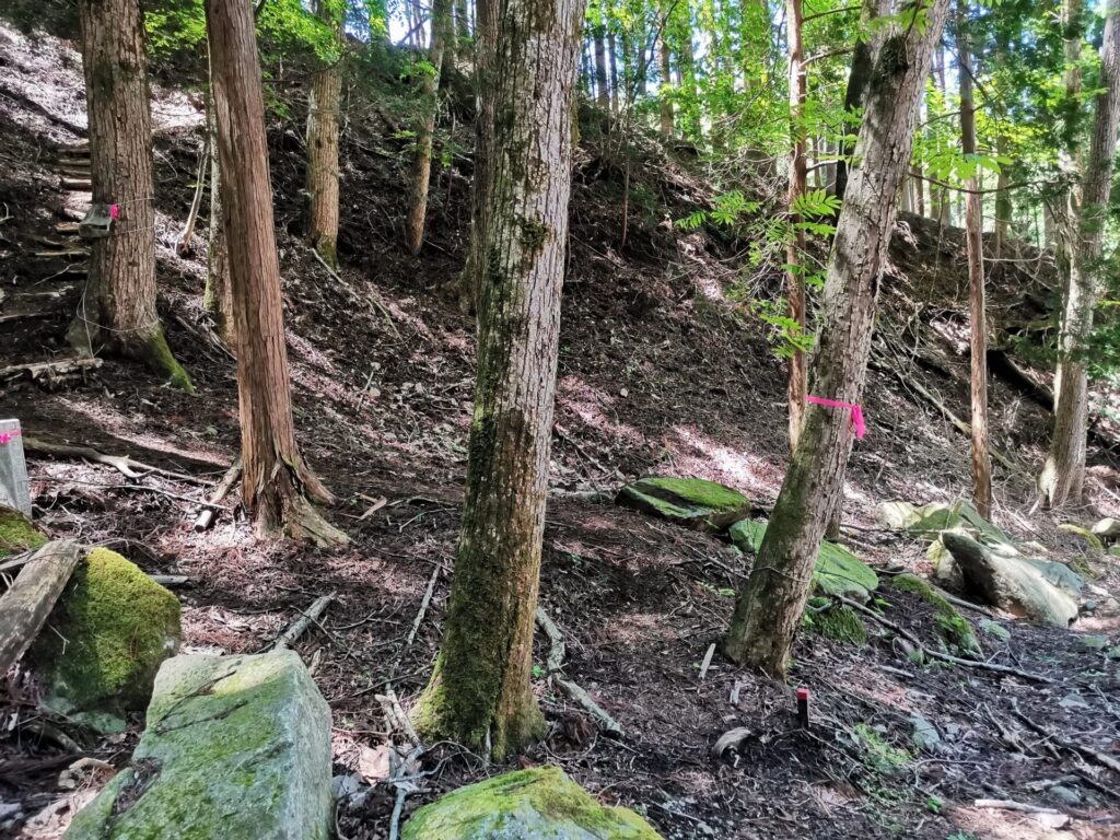 登山道 ピンクリボン