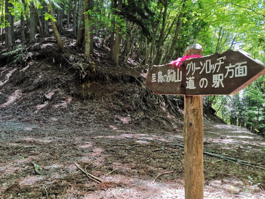 鳥丿胸山 道標