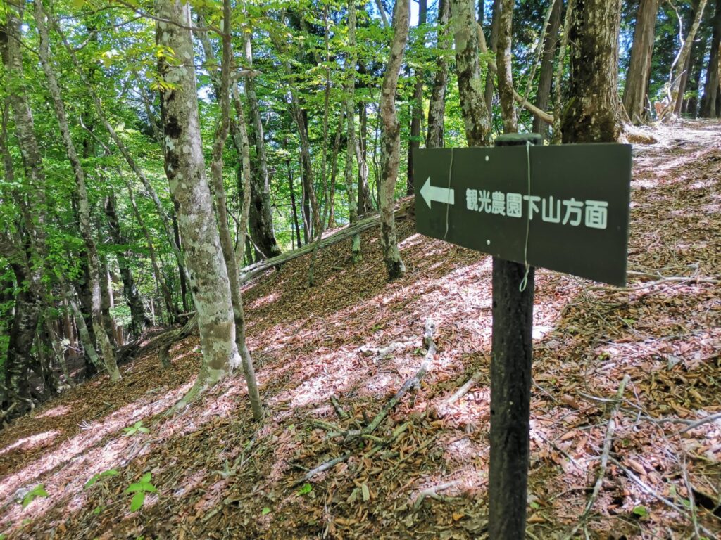 観光農園下山方面 道標