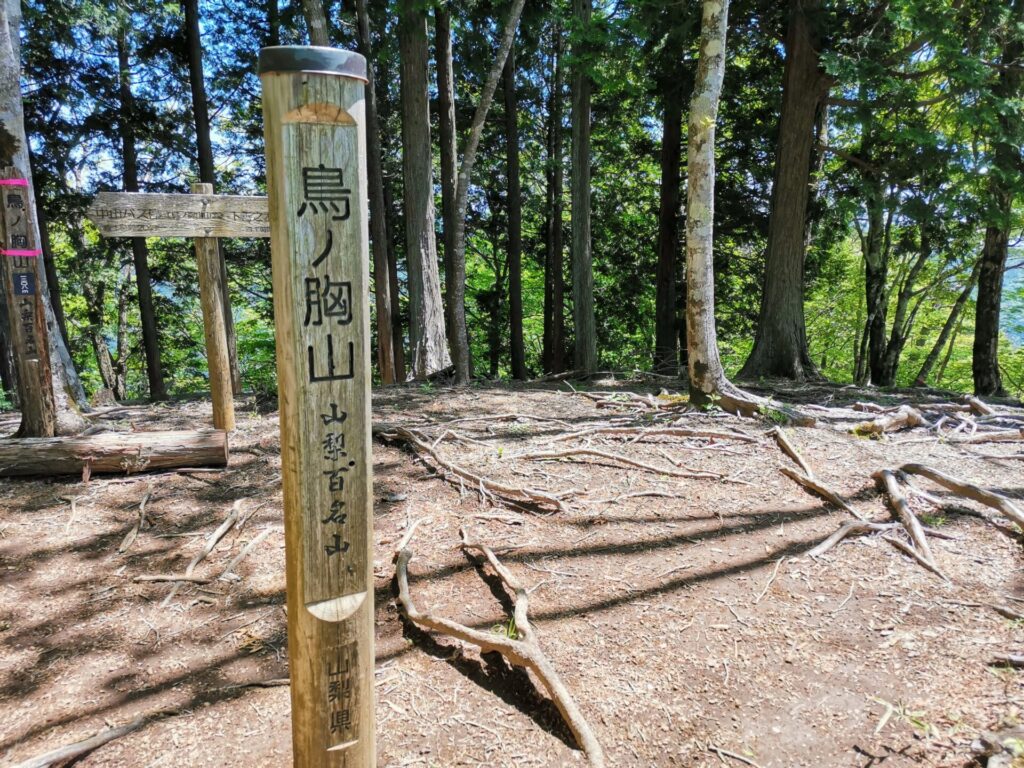 鳥丿胸山 山頂