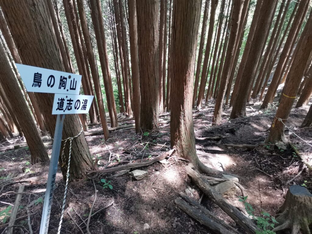 道志の湯 道標