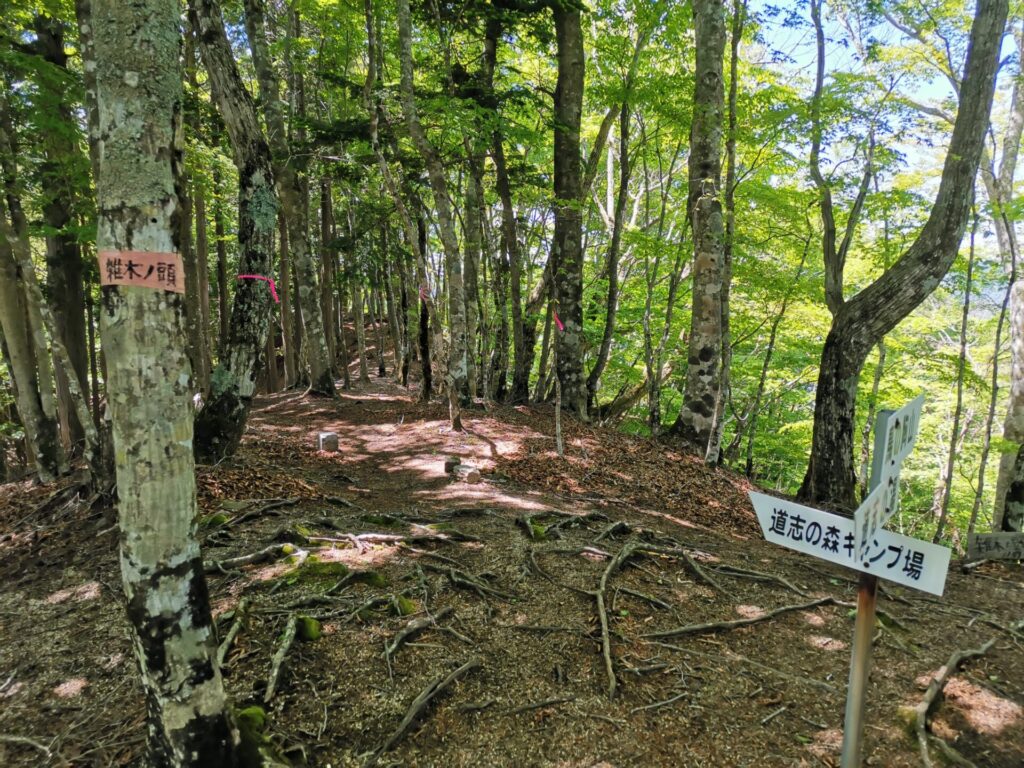 道志の森キャンプ場