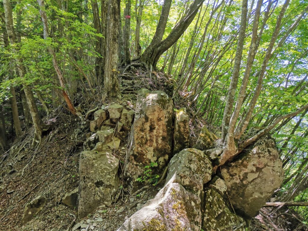 登山道