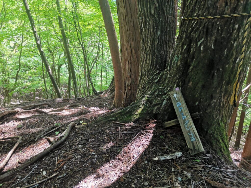 道志の森キャンプ場 道標