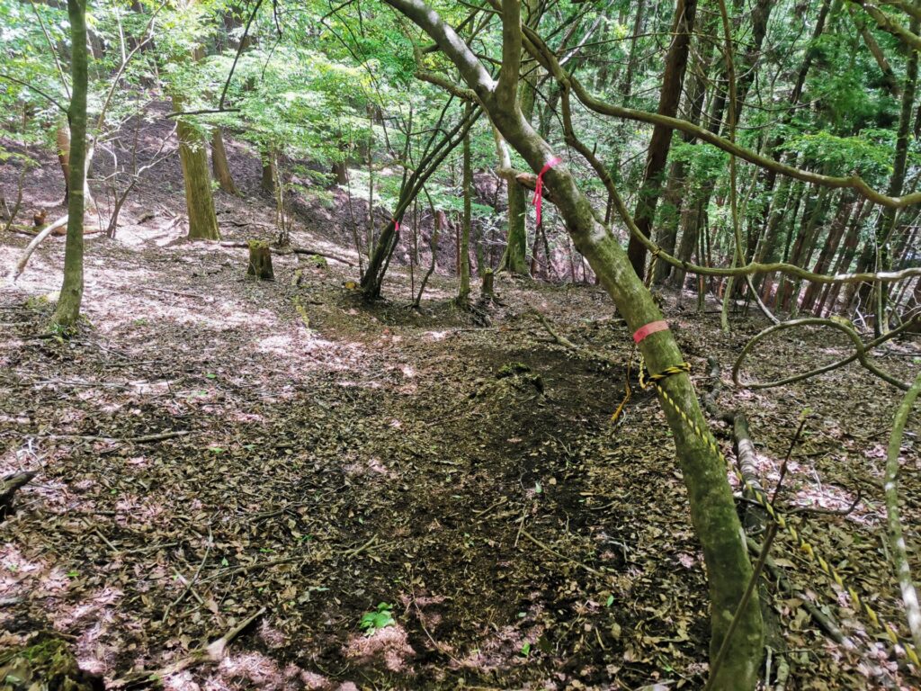 登山道