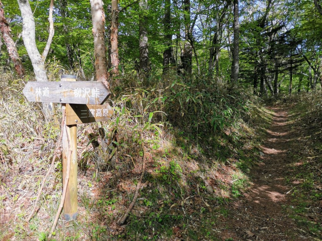 三窪高原 道標