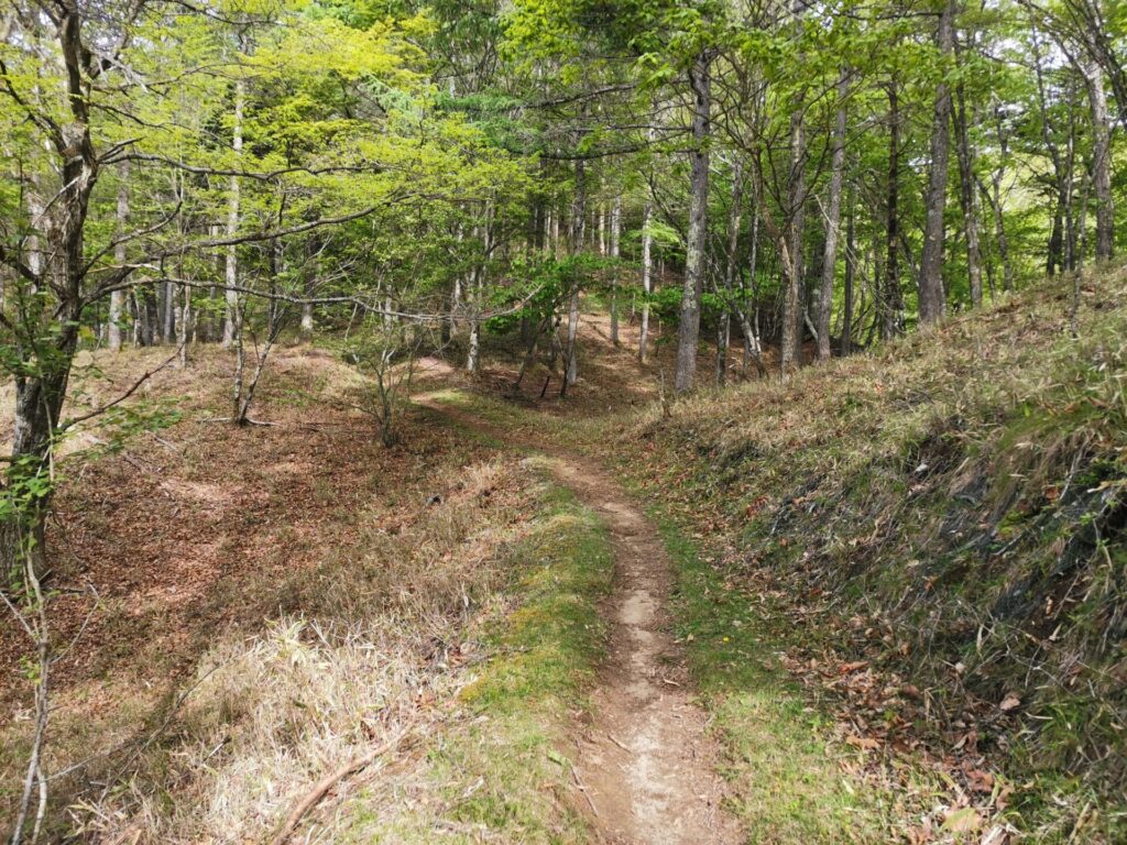 登山道