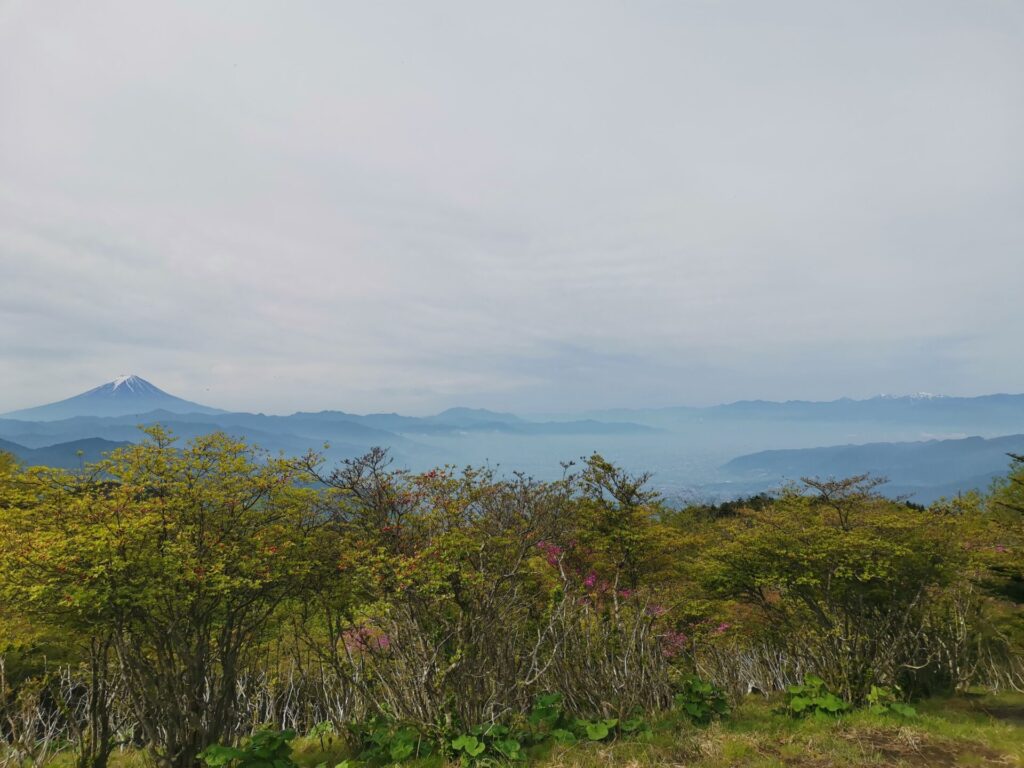 富士山 南アルプス