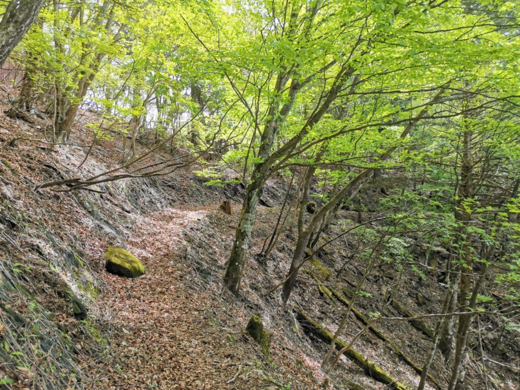 登山道