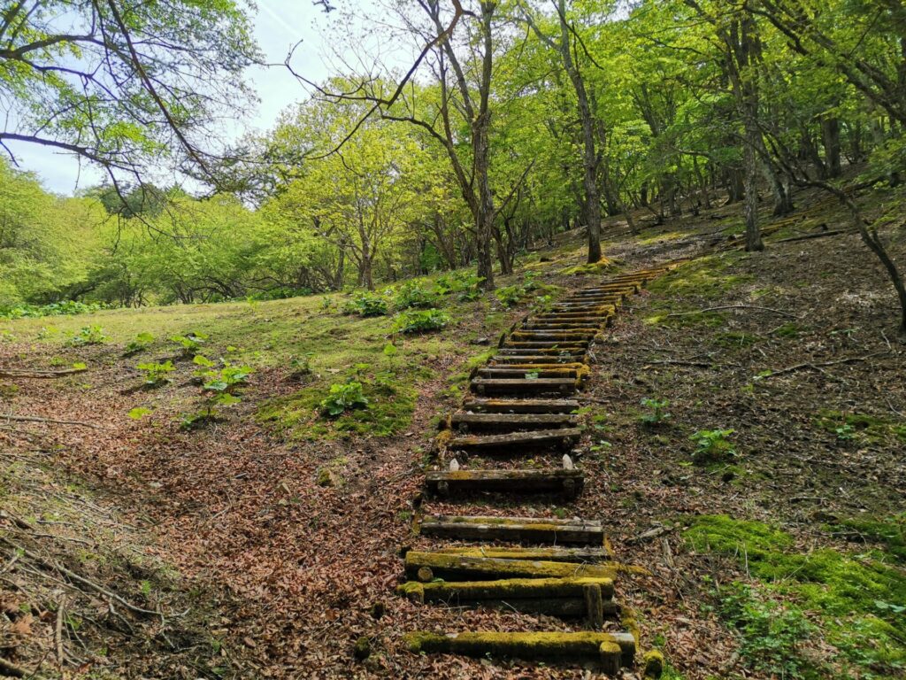 丸太階段