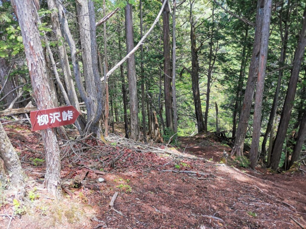 柳沢峠 道標