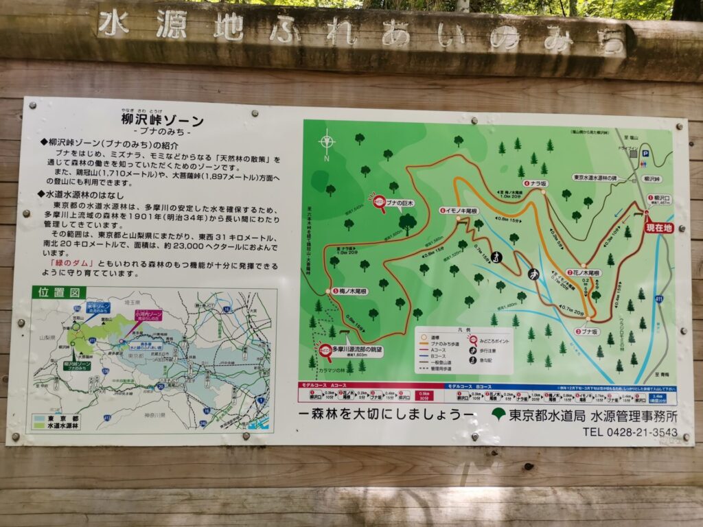 柳沢峠ゾーン