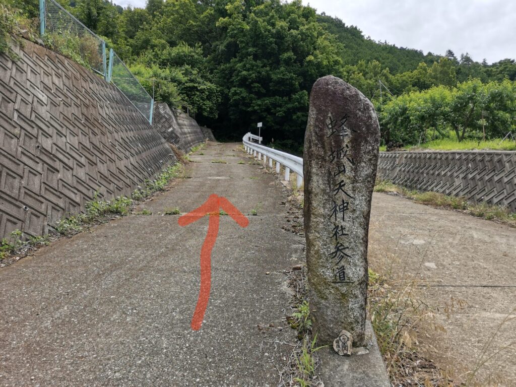 蜂城山天神社参道