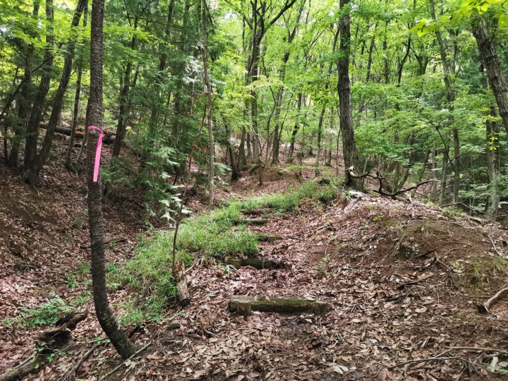 登山道