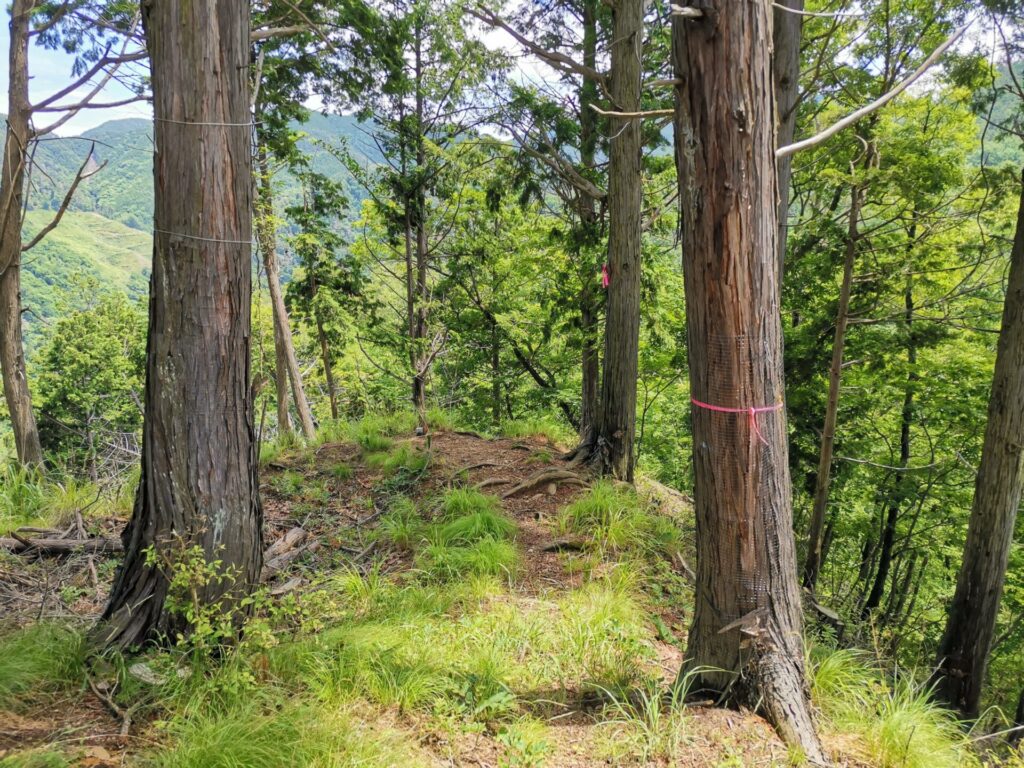 登山道