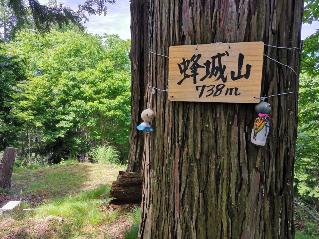 蜂城山