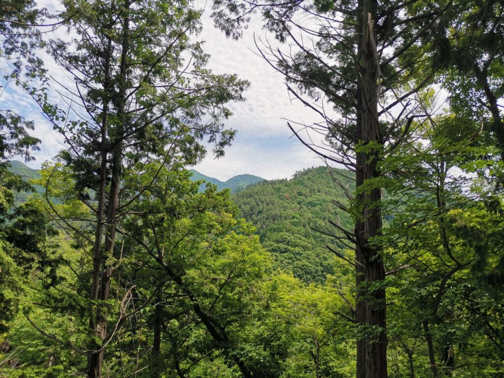 神領山