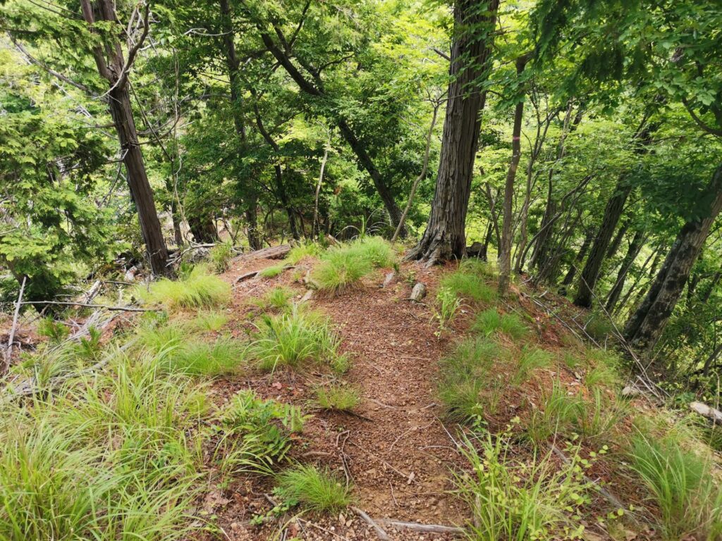 登山道