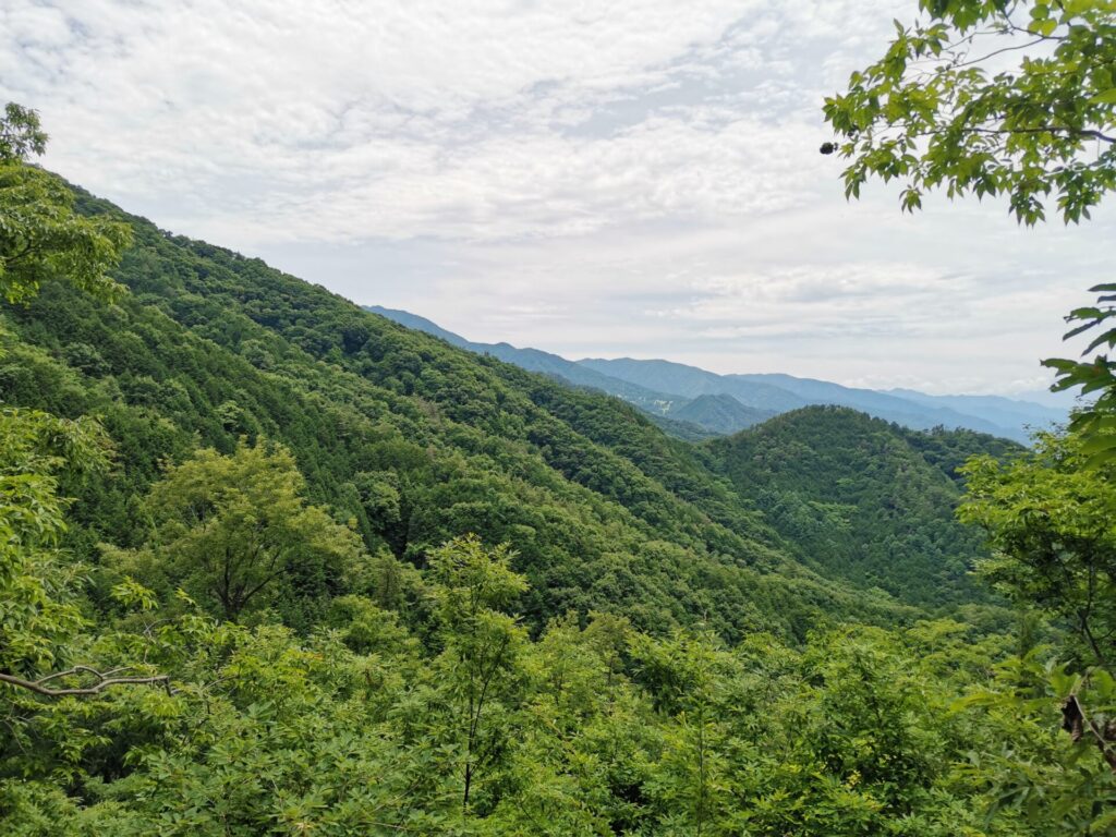 大久保山