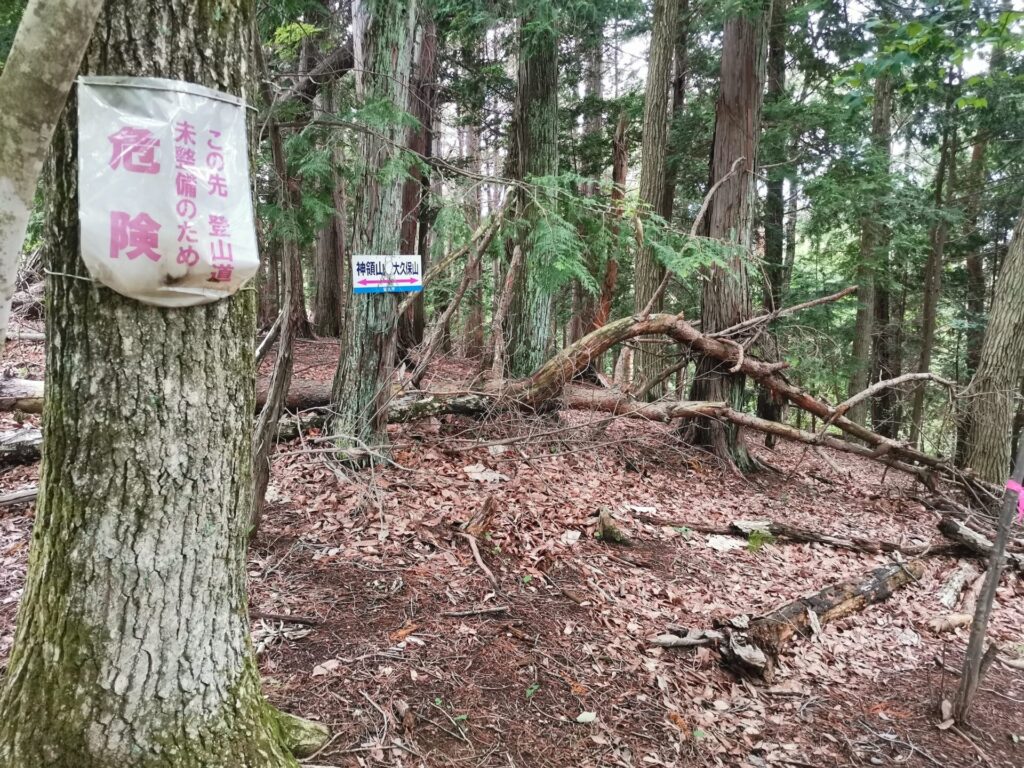 登山道