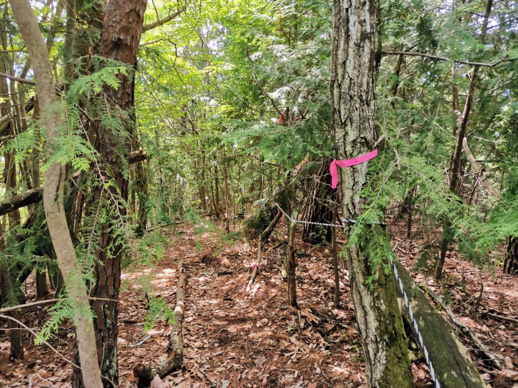 登山道