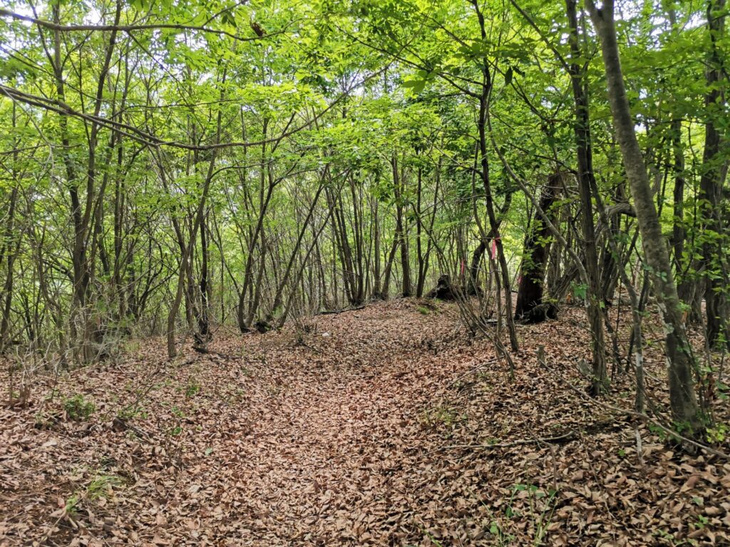 登山道