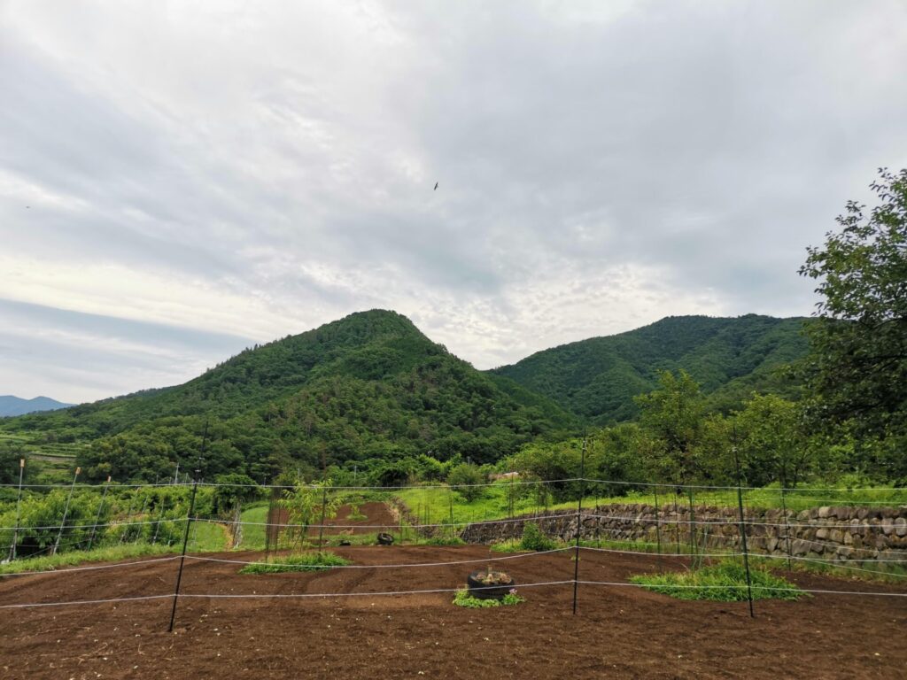 蜂城山 神領山