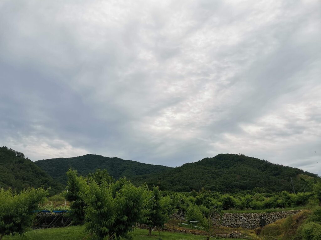 神領山 大久保山