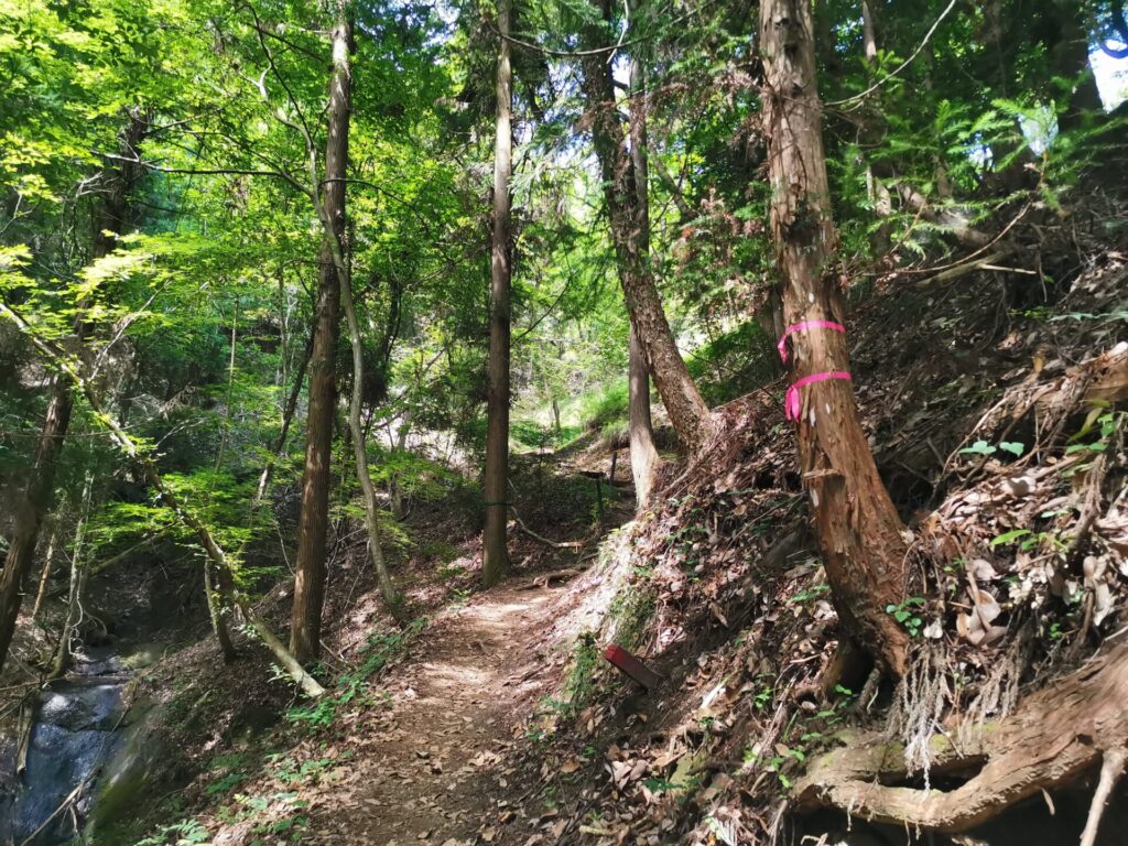 岩殿山 登山道