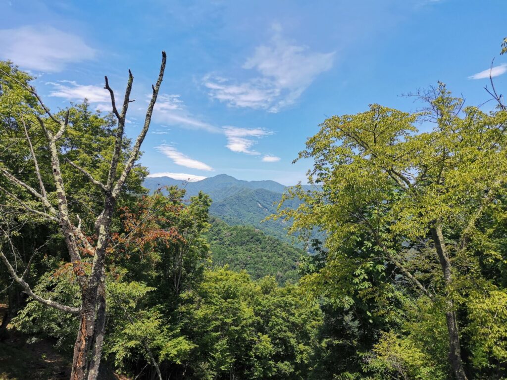 雁ヶ腹摺山