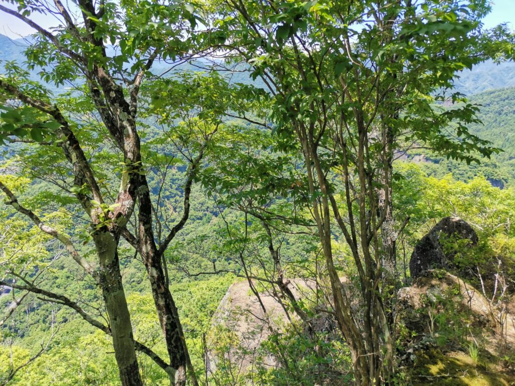 大露頭