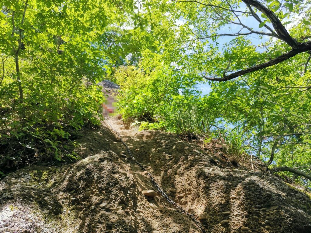 登山道