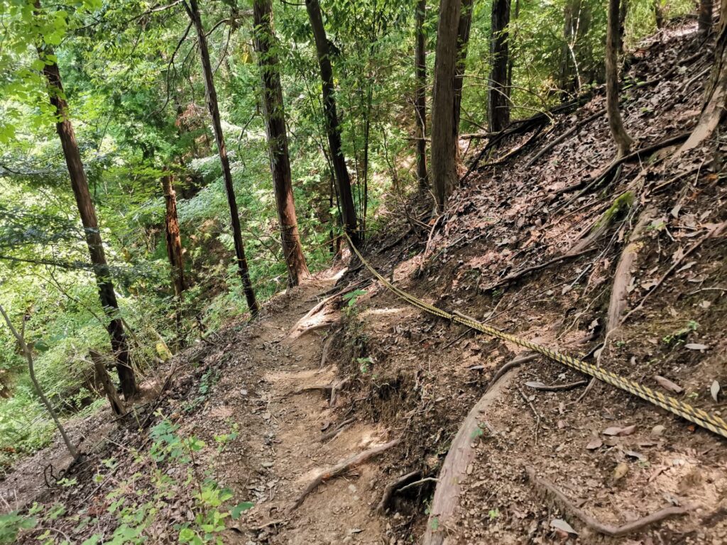 登山道 ロープ