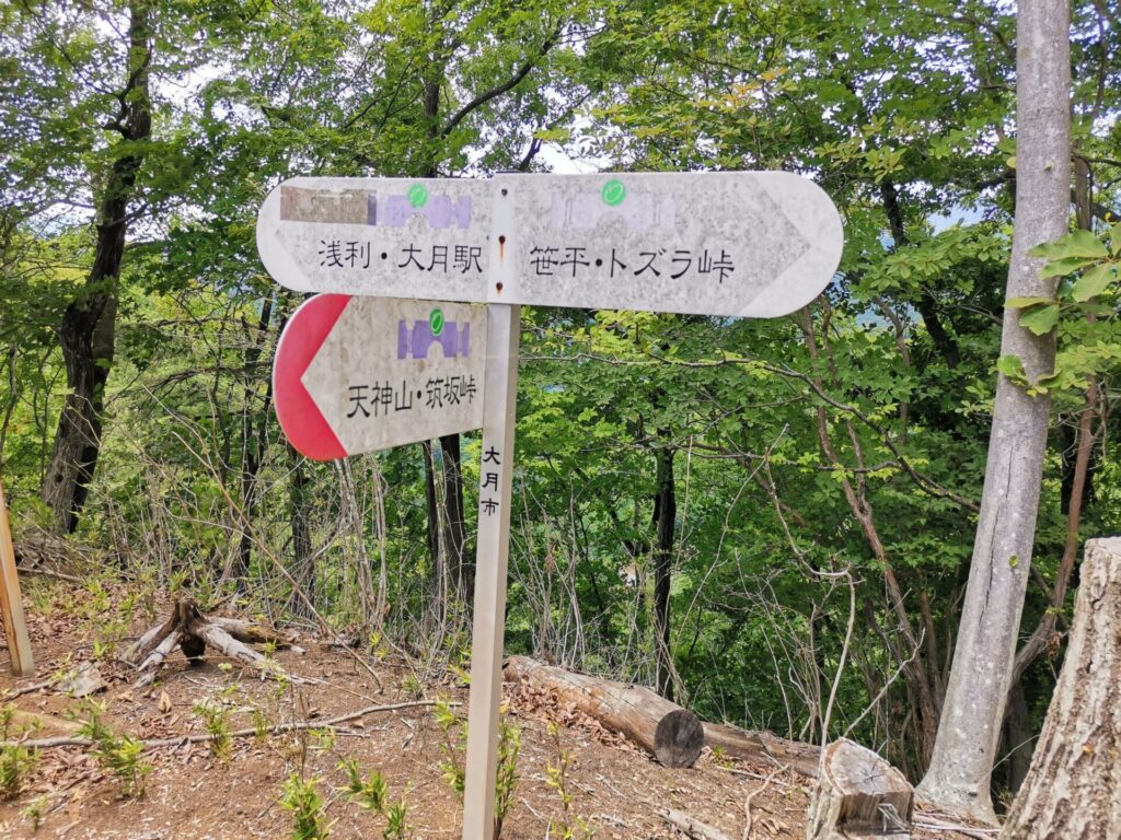 登山道 分岐