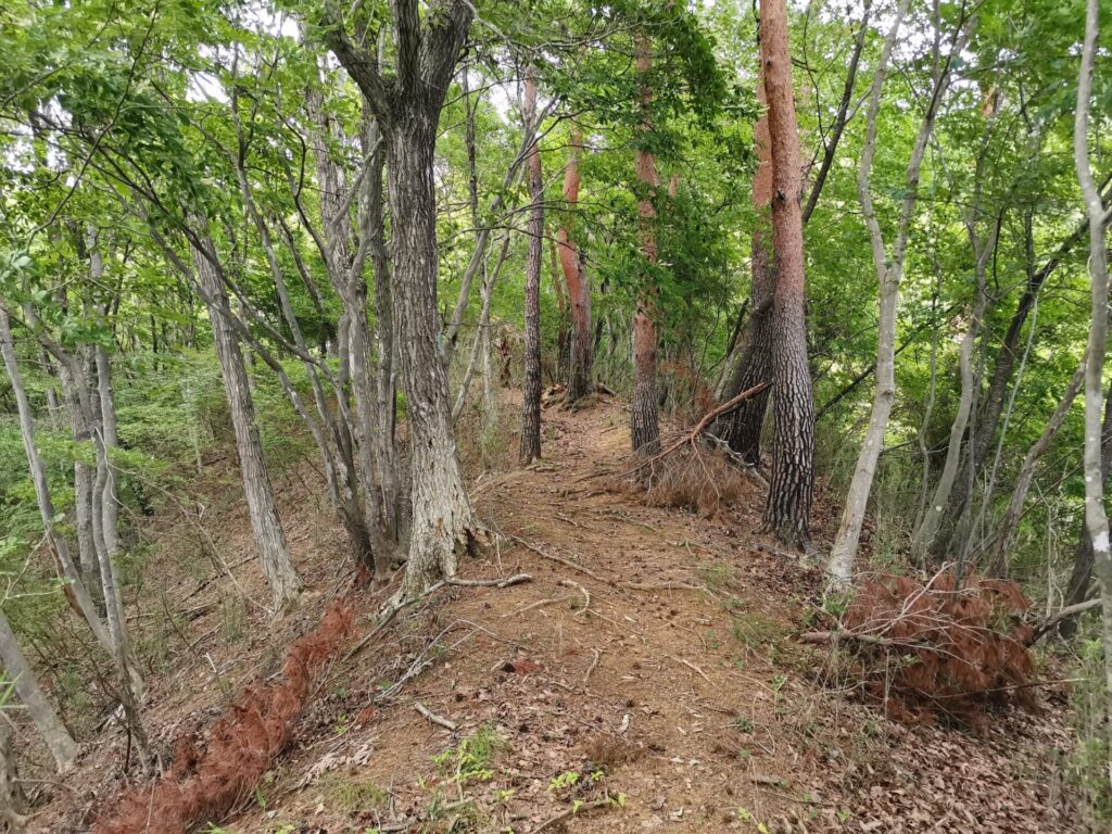 登山道