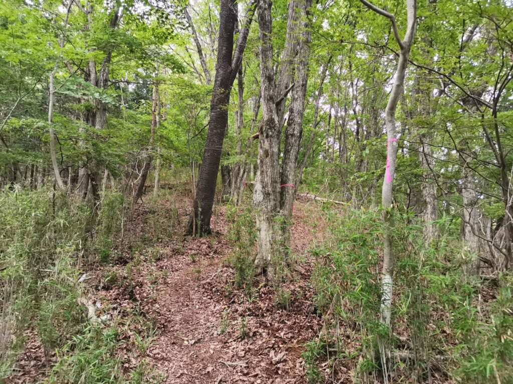 登山道 ピンクリボン