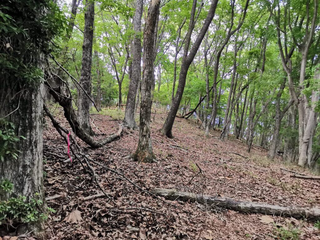 登山道