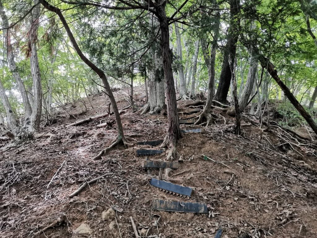 登山道 階段