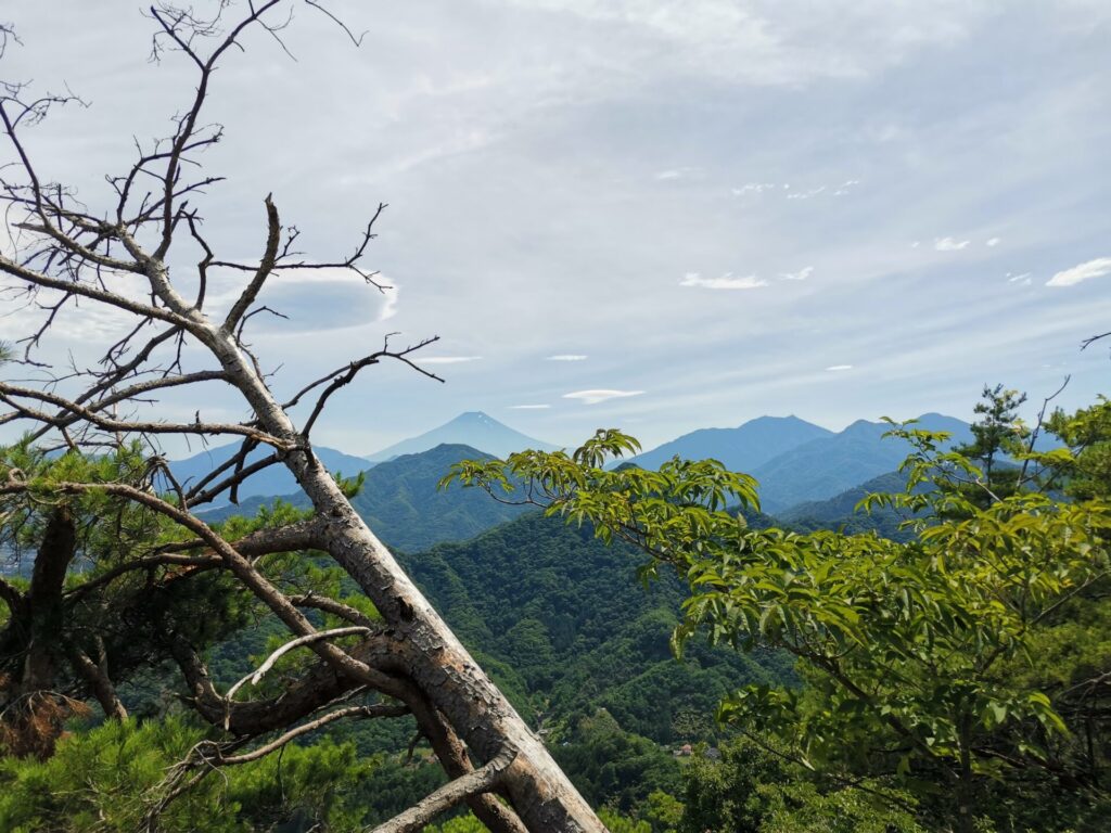 富士山景勝地