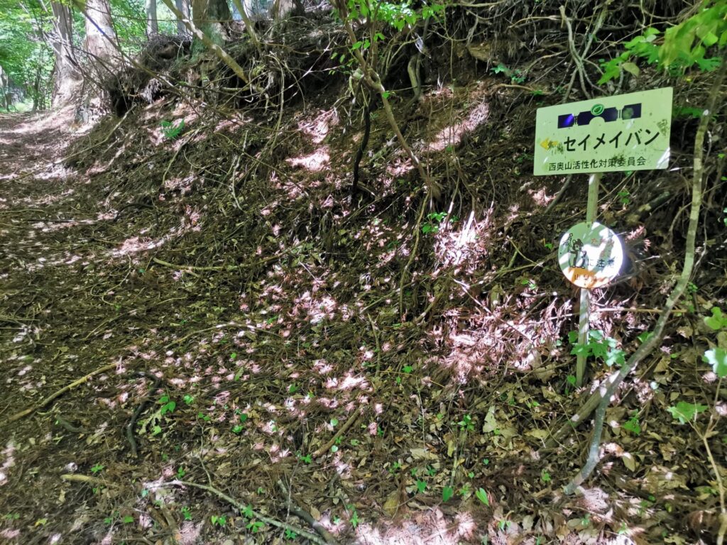 セイメイバン 登山口