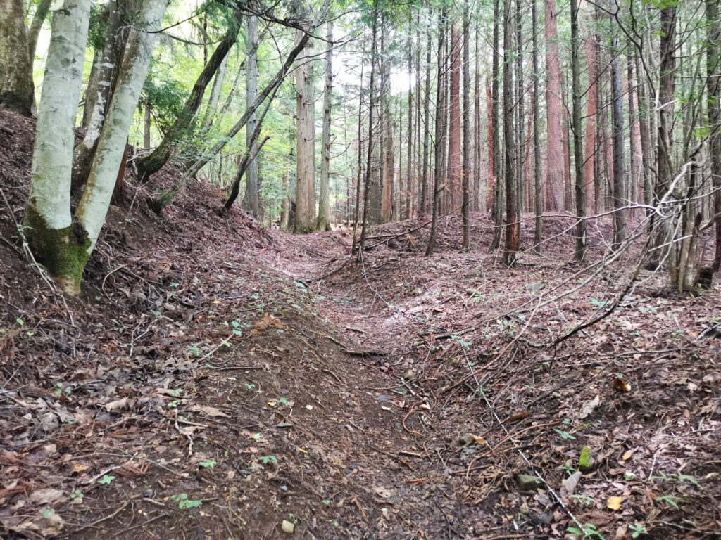 登山道