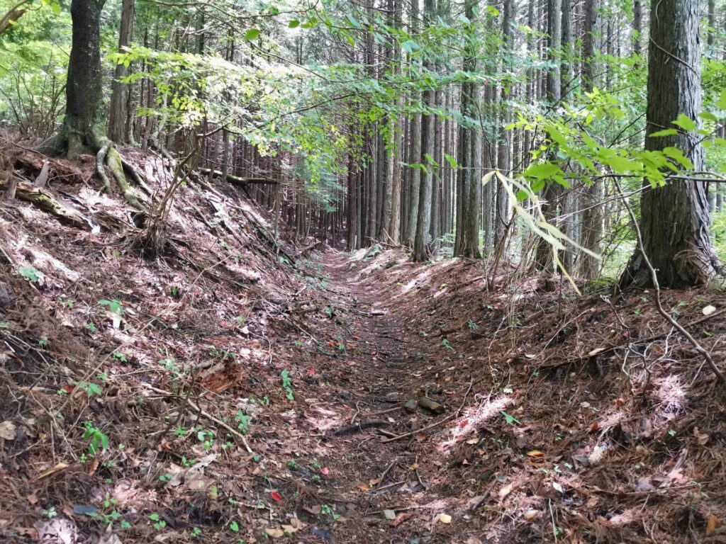 登山道