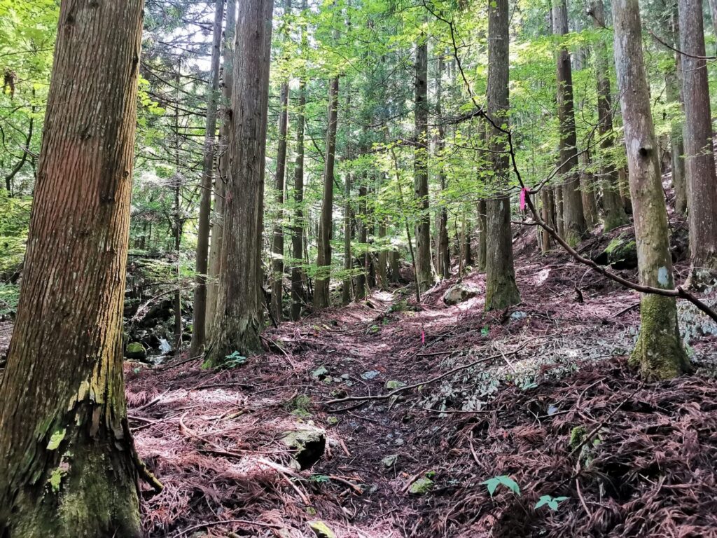 登山道