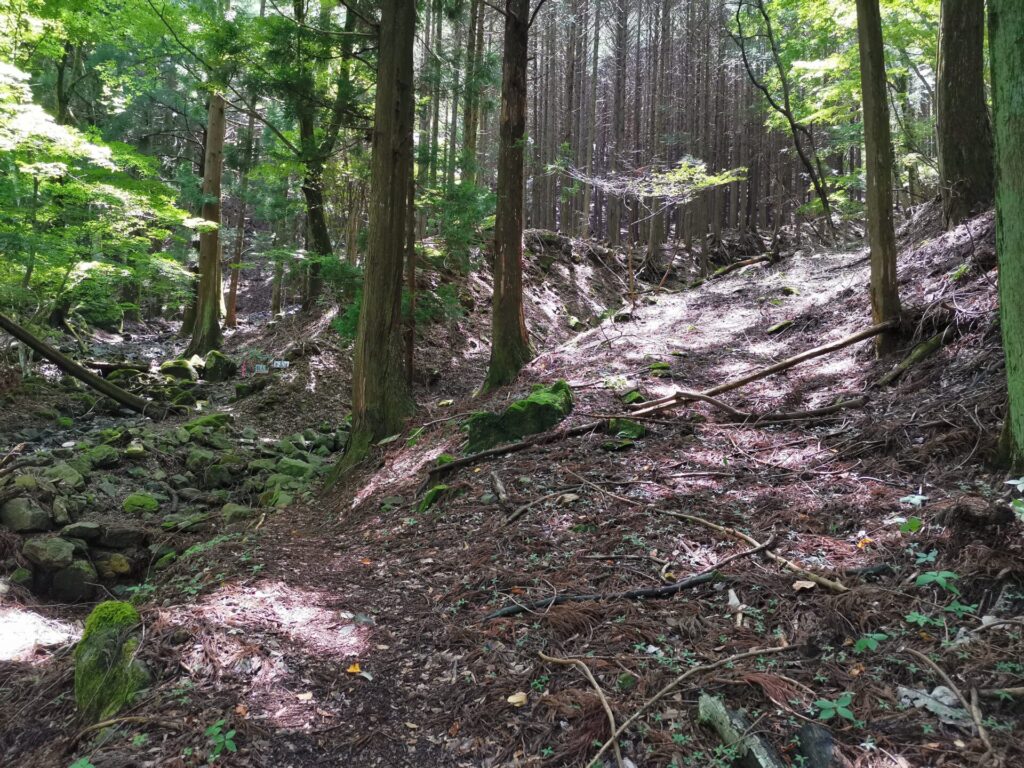 登山道