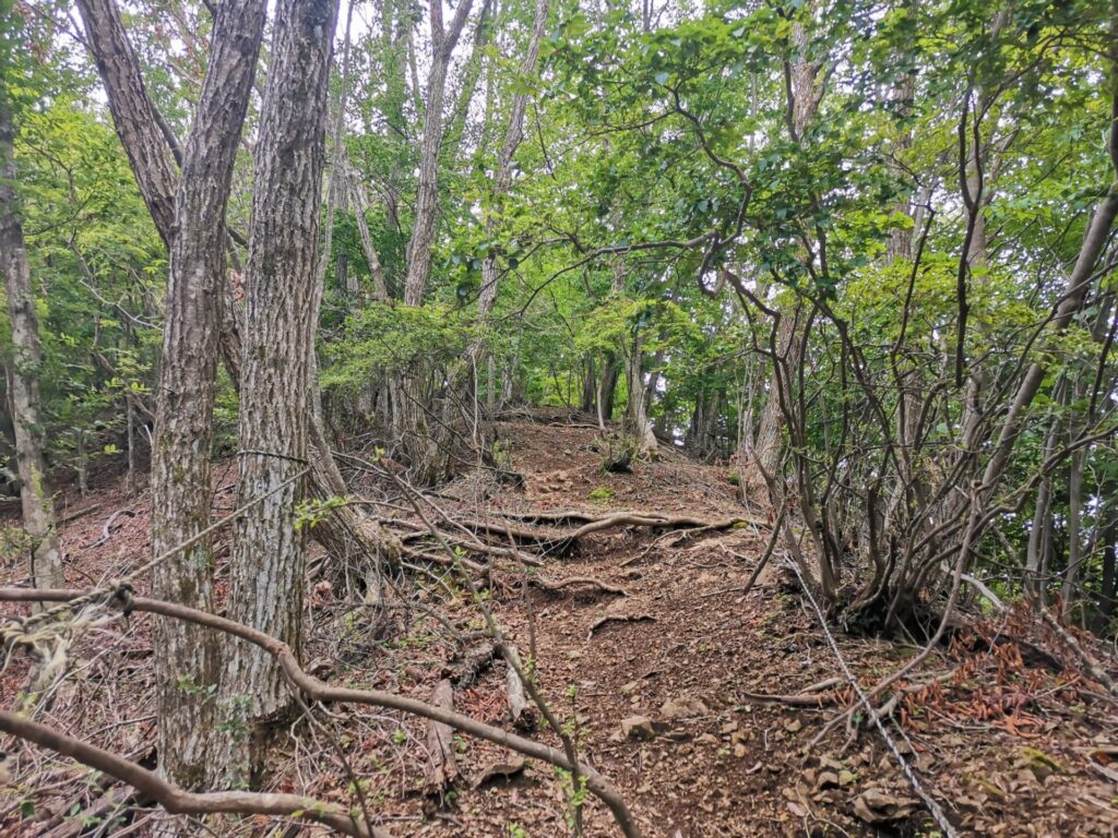 登山道