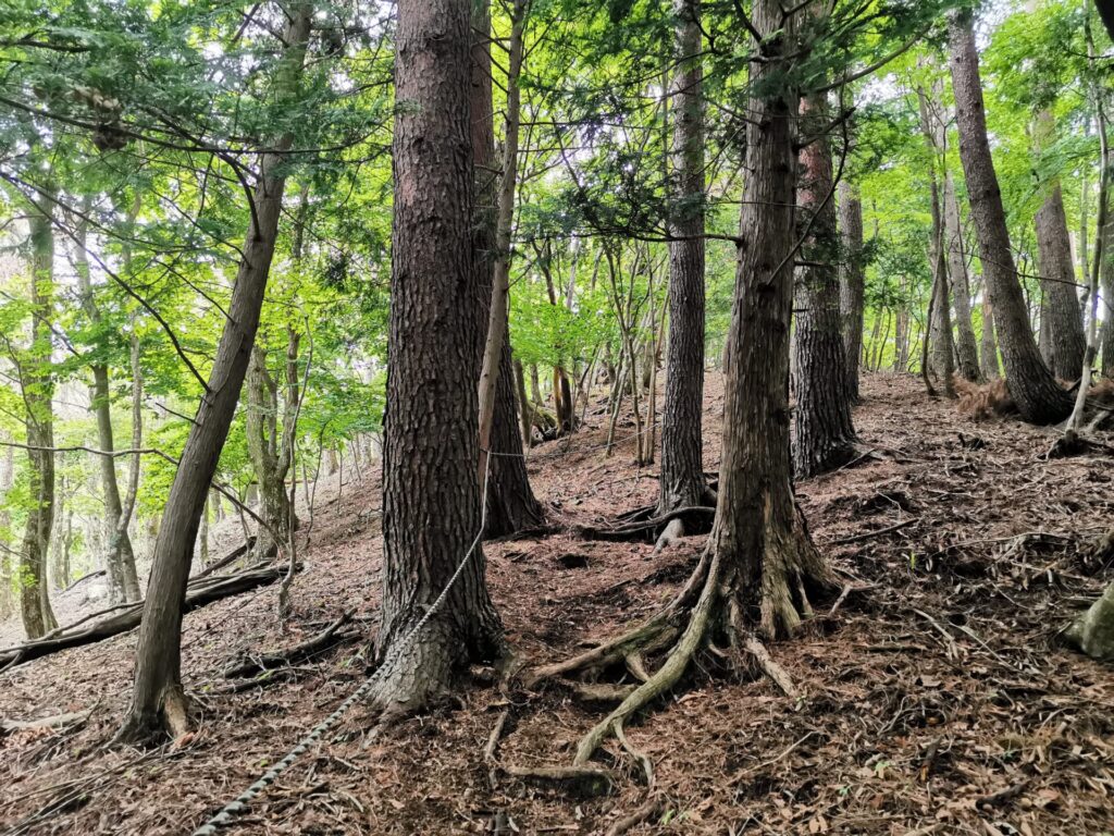 登山道