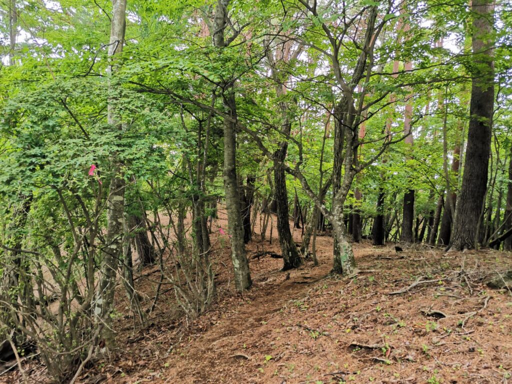 登山道 ピンクリボン